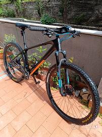 MTB Focus Raven L