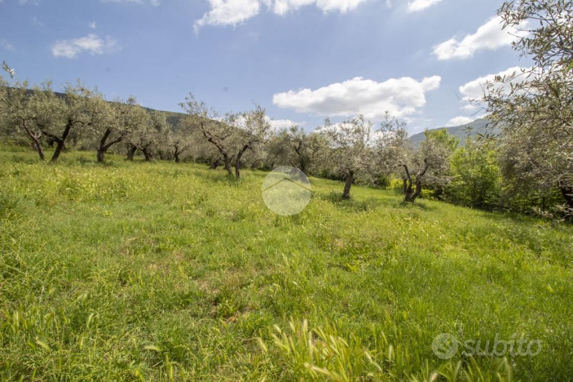 TER. AGRICOLO A PALOMBARA SABINA - Vista 6