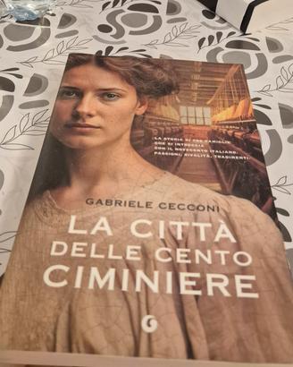 La città delle ciminiere 
