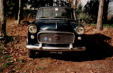 FIAT 1100 speciale (103G)