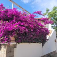 Monolocale 40 a persona