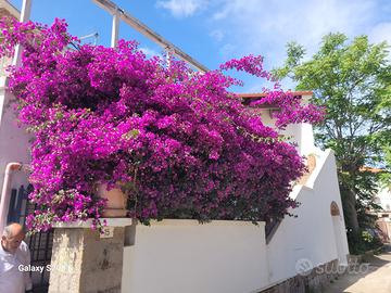 Monolocale 40 a persona