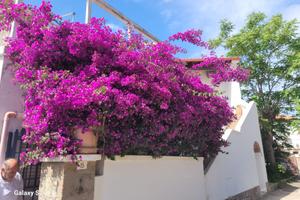 Monolocale 40 a persona