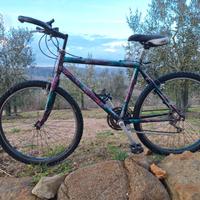 Mountain Bike in buono stato