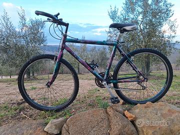 Mountain Bike in buono stato