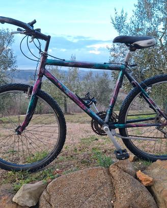 Mountain Bike in buono stato