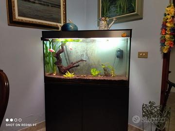 Acquario