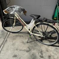 Bicicletta da passeggio