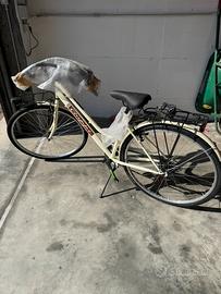 Bicicletta da passeggio