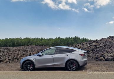 Tesla Model Y Performance
