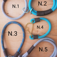 Collare cane personalizzato con corda d'arrampicat