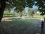 Immagine 27