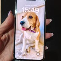 iPhone 13 Pro 128 gb