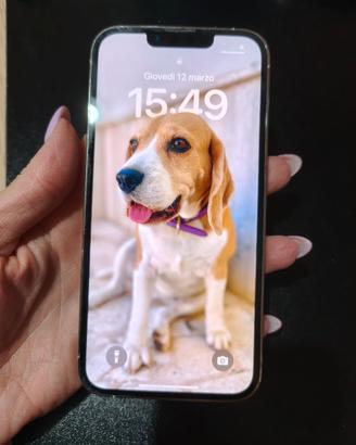 iPhone 13 Pro 128 gb