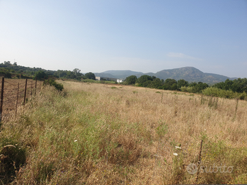 Terreno pianeggiante Dolianova