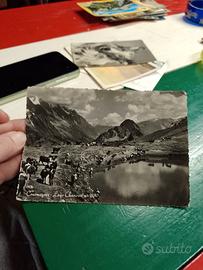 cartolina vintage Courmayeur 