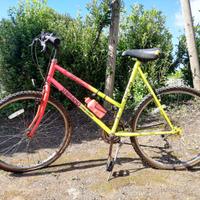 Bicicletta Shimano 18 Speed Mountain Bike