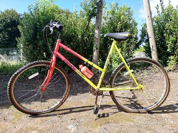 Bicicletta Shimano 18 Speed Mountain Bike