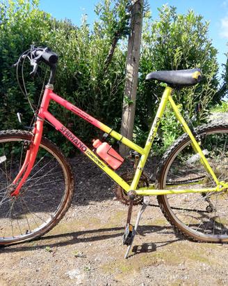 Bicicletta Shimano 18 Speed Mountain Bike