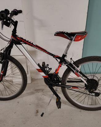 bicicletta