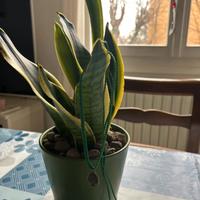 Collana fatta a mano in Macramé