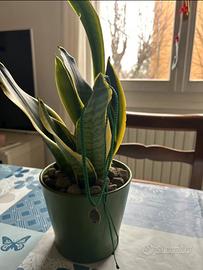 Collana fatta a mano in Macramé