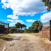 Terreno agricolo di circa 84 ettari con sughereta