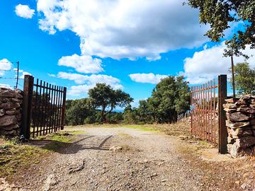 Terreno agricolo di circa 84 ettari con sughereta