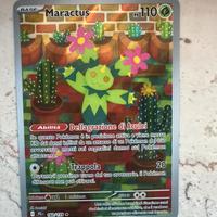 Maractus