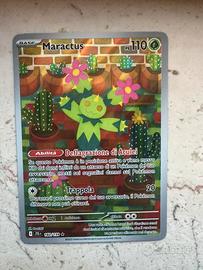 Maractus
