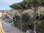 Immagine 19