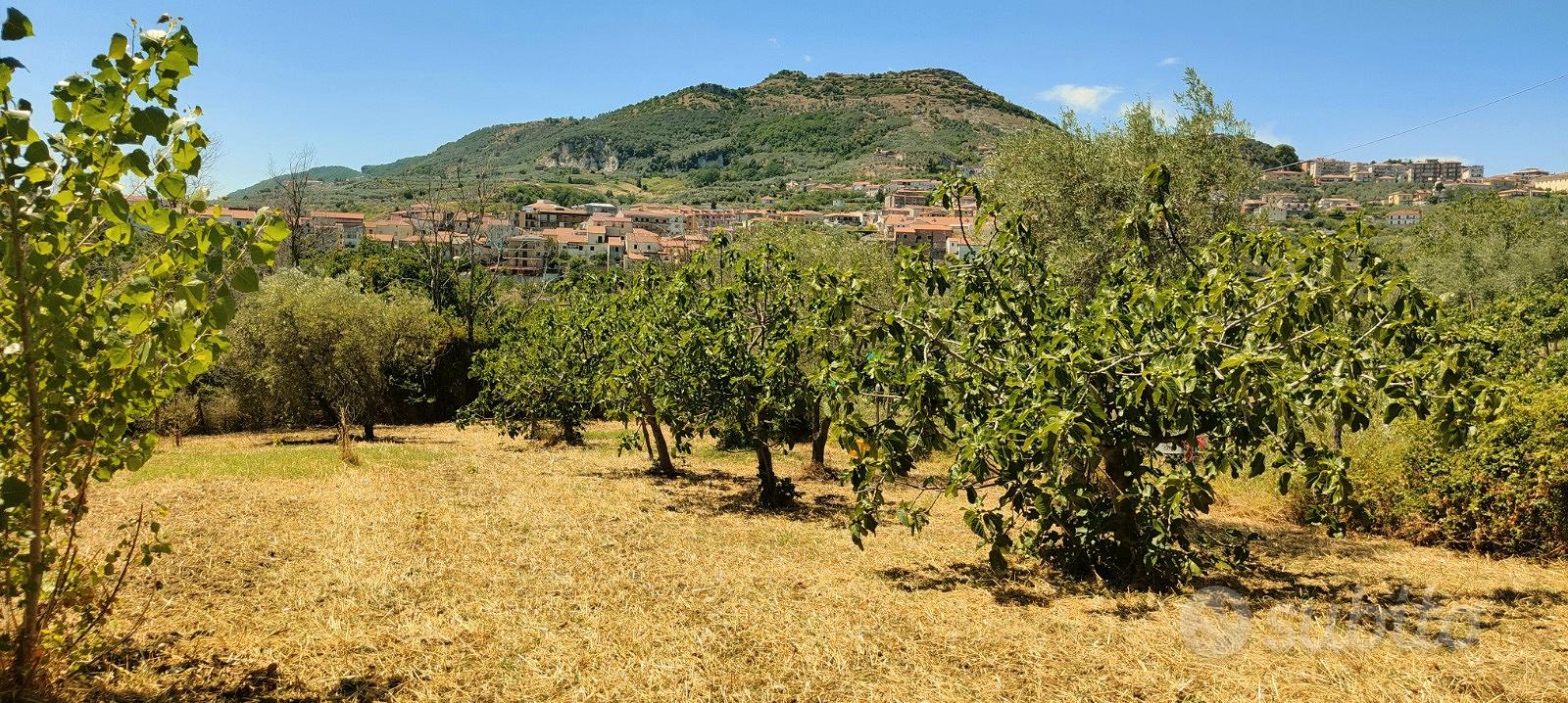 Terreno frutteto Salerno - Vista 4