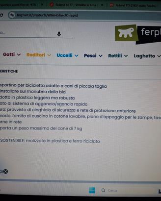 trasportino / cestino per bicicletta.(RIBASSO)