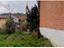 Immagine 12