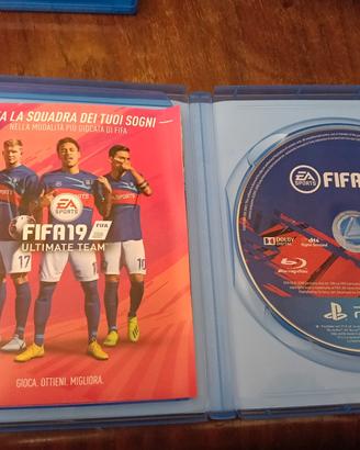 FiFA 2019