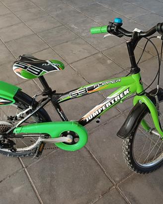 bicicletta 53 flipper  grandezza 20