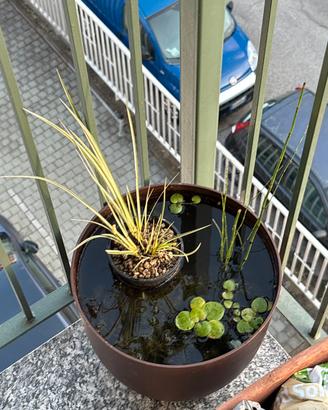 Mini laghetto da balcone zen pond