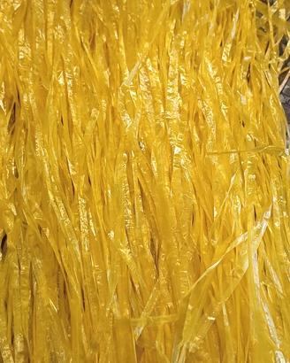 Carnevale gonna ragazza