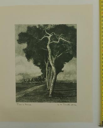bromolio "Pini di Roma" Domenico Peretti Griva 