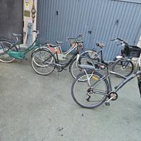 bici da donna e cyti bike 