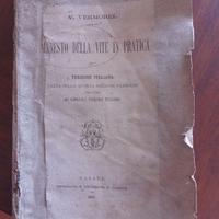 INNESTO DELLA VITE IN PRATICA
