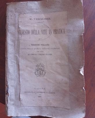 INNESTO DELLA VITE IN PRATICA