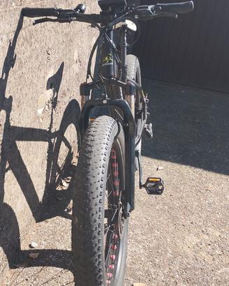 ebike