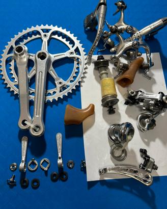 Gruppo Campagnolo SR freni Modolo Seedy
