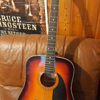 Chitarra acustica