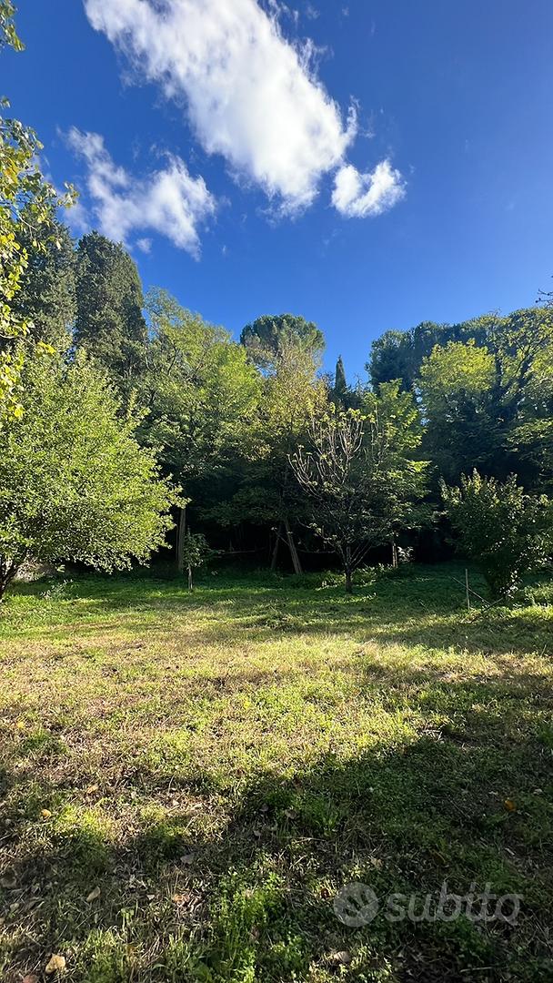 Terreno agricolo fuori porta pispini - Vista 4