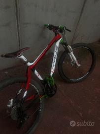 telaio scapin carbon