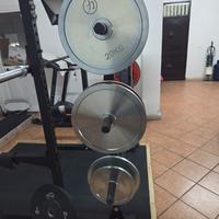 Dischi/pesi olimpionici calibrati palestra powerli