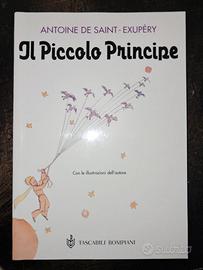 libro il piccolo principe