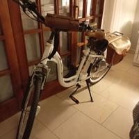 bicicletta elettrica 